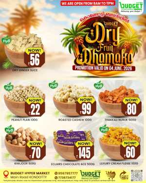 Dry fruit dhamaka flyer cover