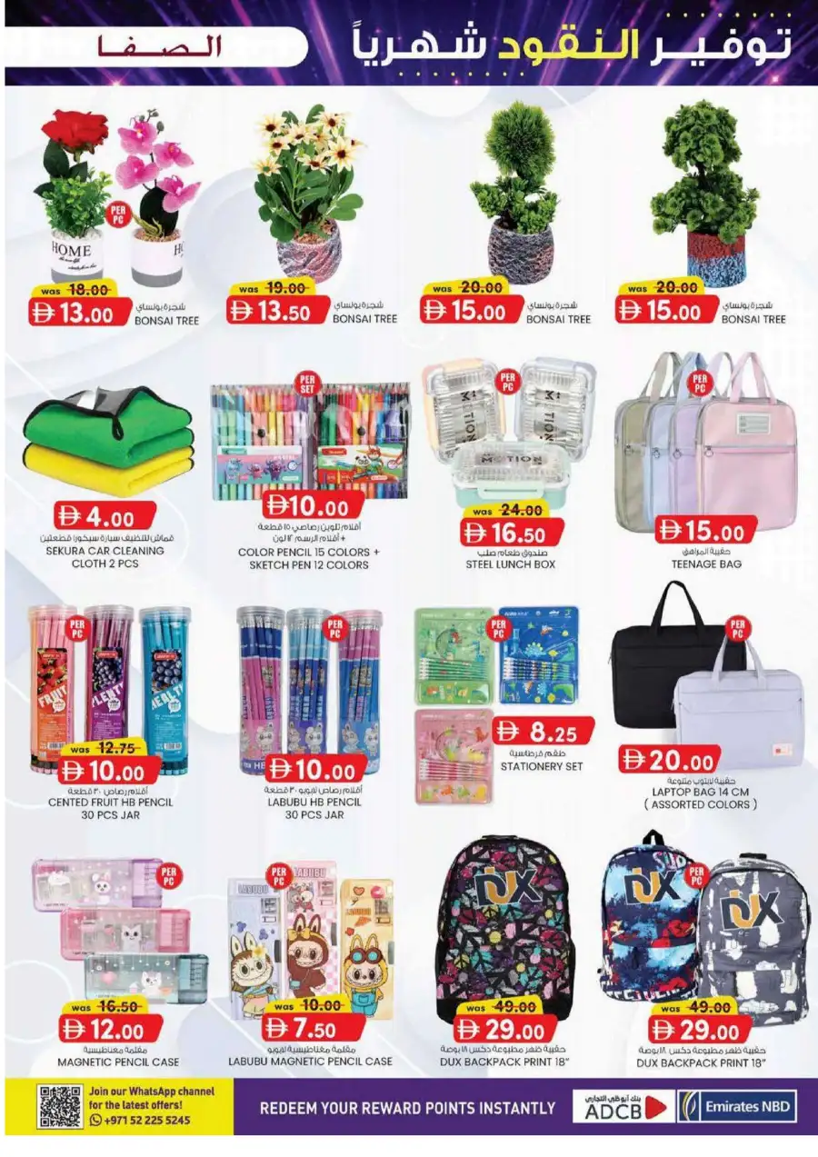 Al Safa UAE Monthly Money Saver Deals June 2026 page 13