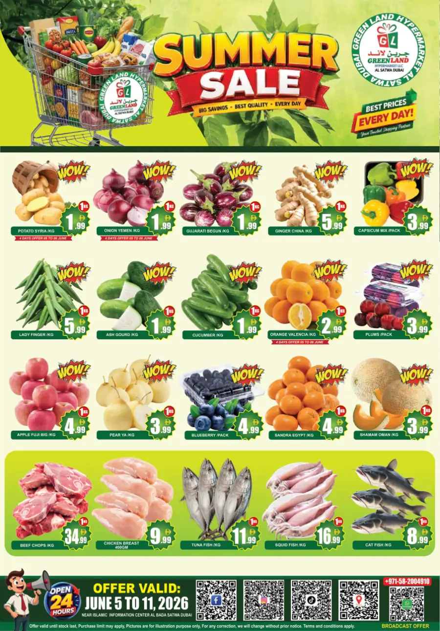 Green Land Hypermarket Dubai Summer Sale Offers June 2026 page 8