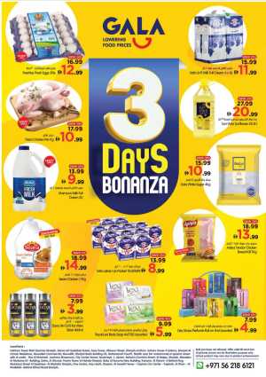 Gala Supermarket UAE 3 Days Bonanza Grocery Deals flyer cover