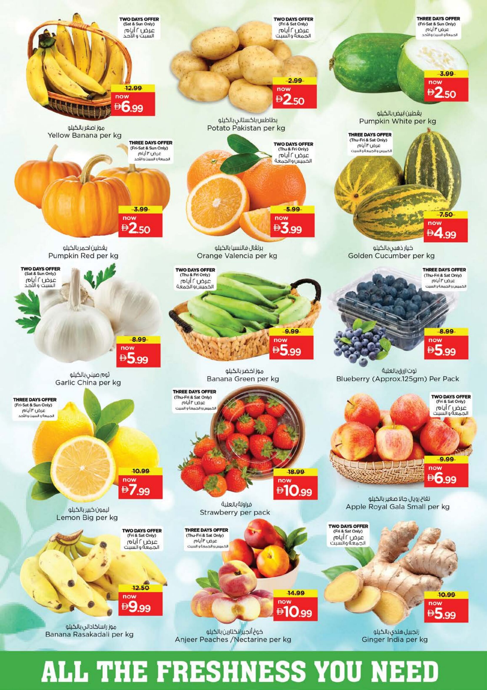 Nesto Sharjah Summer Holiday Offers | Biggest Deals Today page 2