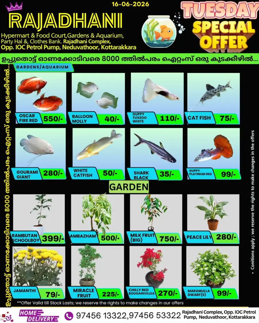 Tuesday Special offer page 7
