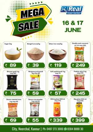 Mega sale flyer cover