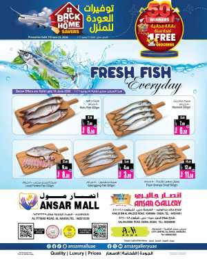 Ansar Gallery Dubai Fresh Food and Grocery Promotions | Biggest Deals flyer cover