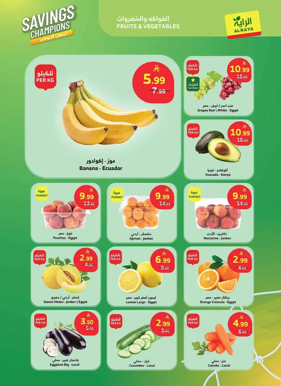 Al Raya KSA Savings Champions Special Weekly Offers | Shop Today page 16