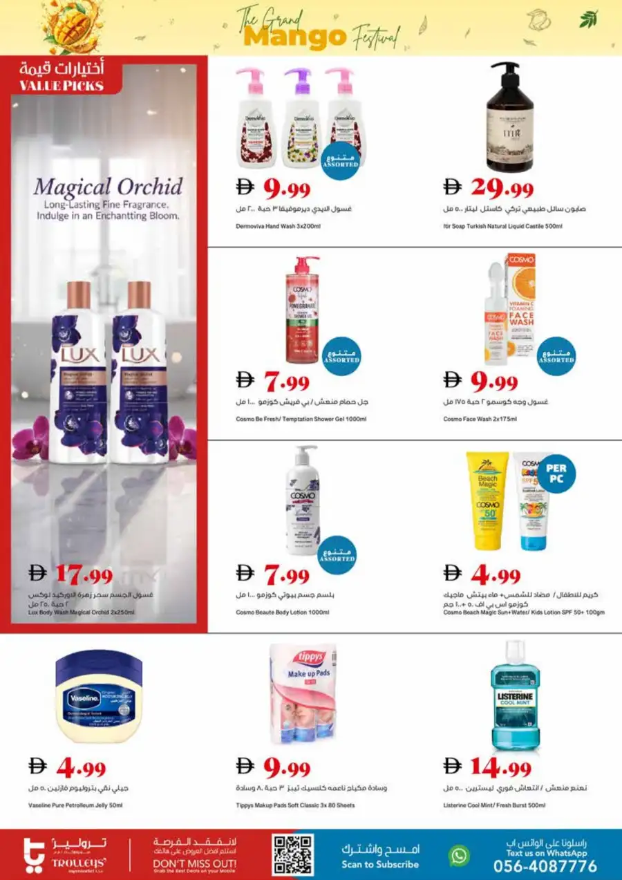 Trolleys Supermarket UAE Mango Festival | Biggest Deals Today page 22