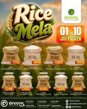 Rice mela flyer cover