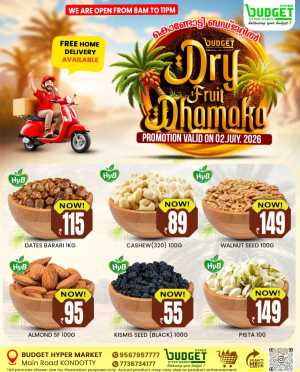 Dry fruit dhamaka flyer cover