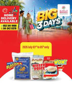 Mango Supermarket Oud Metha Big 3 Days Sale | Limited Time flyer cover