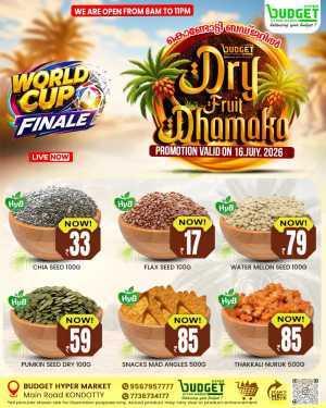 Dry fruit dhamaka flyer cover