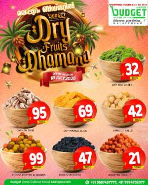 Dry Fruit Dhamaka flyer cover