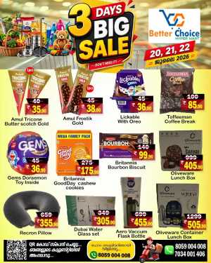 3 big sale flyer cover