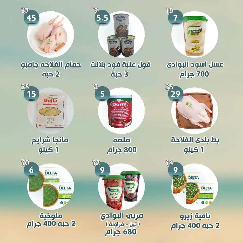 Al Nahda Al Misria Abu Dhabi Offers | Latest Flyer page 4