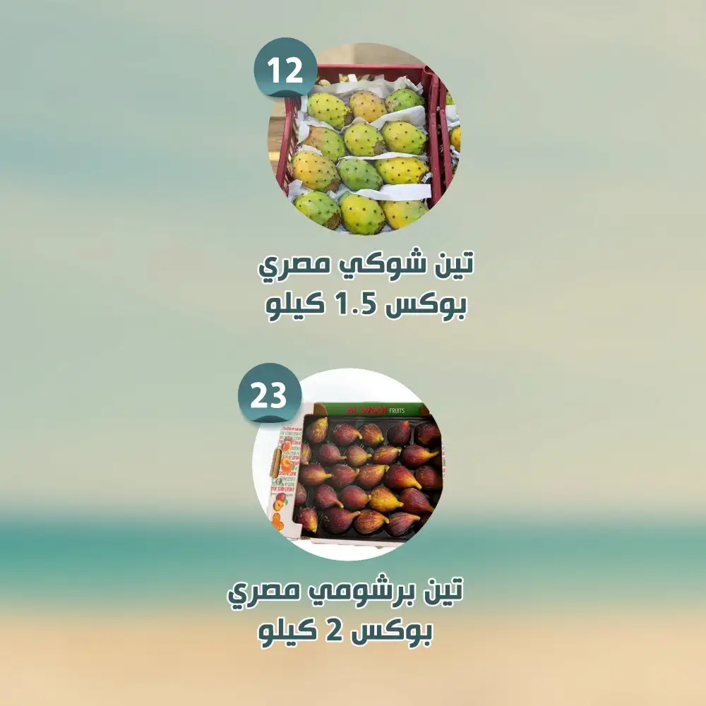 Al Nahda Al Misria Abu Dhabi Offers | Latest Flyer page 6