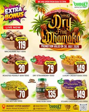 Dry fruit dhamaka flyer cover