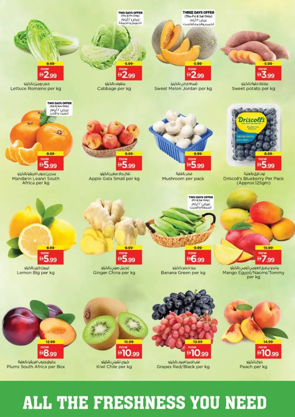 Nesto Al Warsan Dubai Offers | Month Switch Deals page 2
