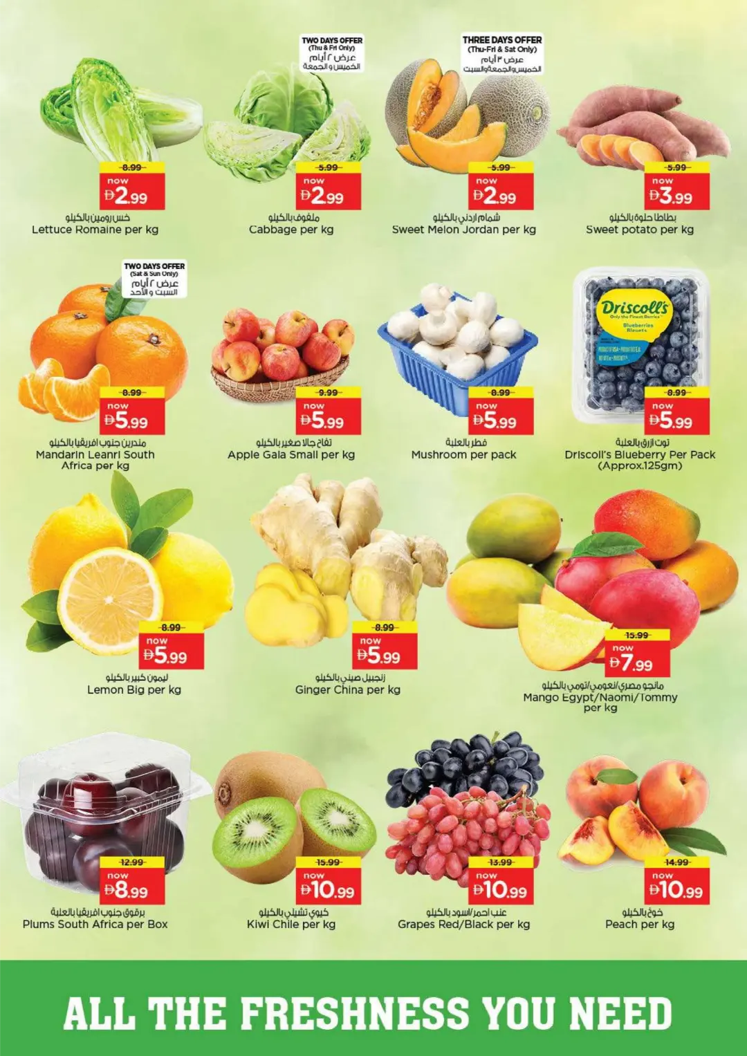 Nesto Fujairah Offers | Month Switch Deals page 2