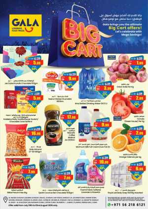 Gala Big Cart Offers | Latest Deals flyer cover