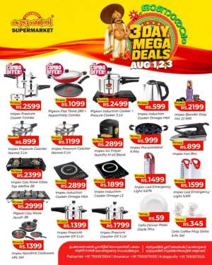 3 days offer flyer cover