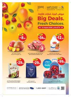 Umm Al Quwain Coop Big Deals | Fresh Choices flyer cover