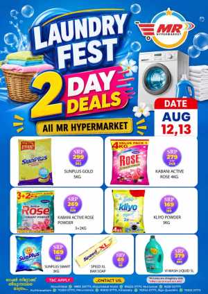 Laundry fest flyer cover
