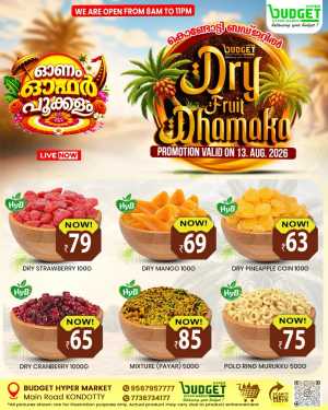 Dry fruit dhamaka flyer cover