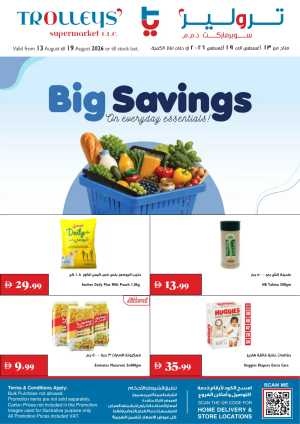 Trolleys Supermarket Offers | Big Savings in UAE flyer cover