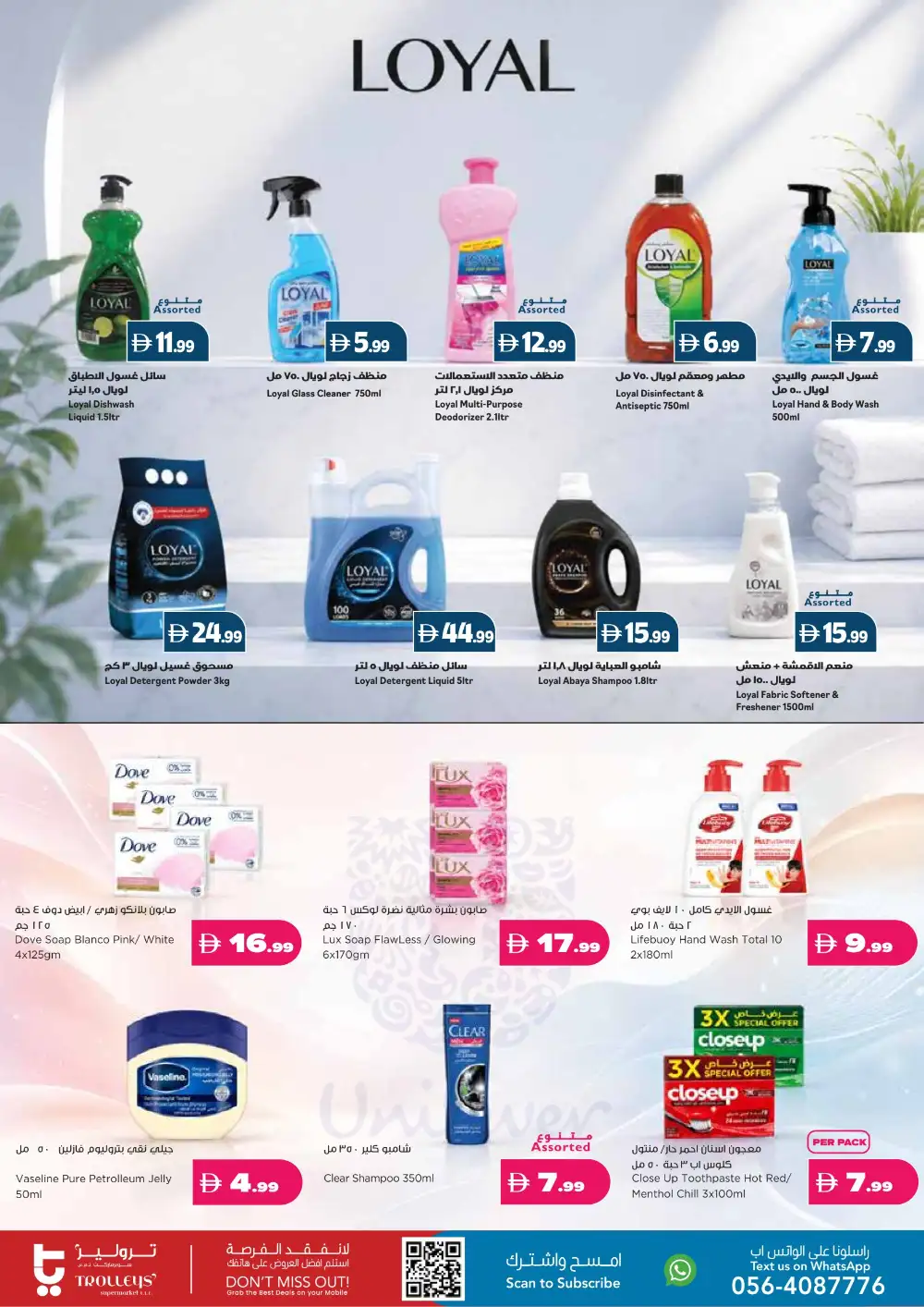 Trolleys Supermarket Offers | Big Savings in UAE page 17