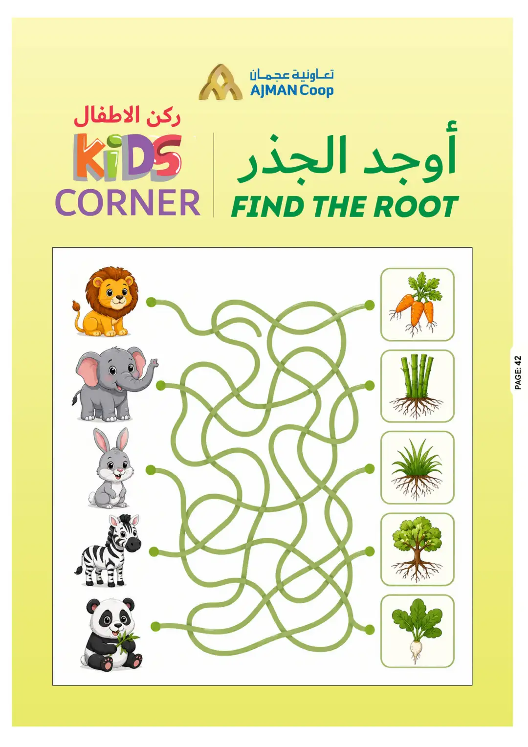 Ajman Coop Offers | Back to School Deals page 42