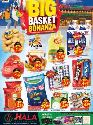 Grand Hala Hypermarket Al Ain Big Basket Bonanza Offers Today flyer cover
