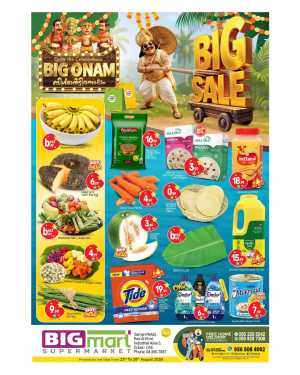 BIGmart Ras Al Khor Offers | Big Onam Sale Deals flyer cover