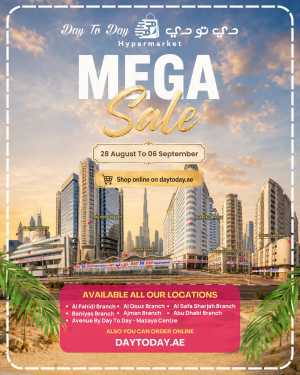 Day To Day Mega Sale Offers | Latest Deals flyer cover