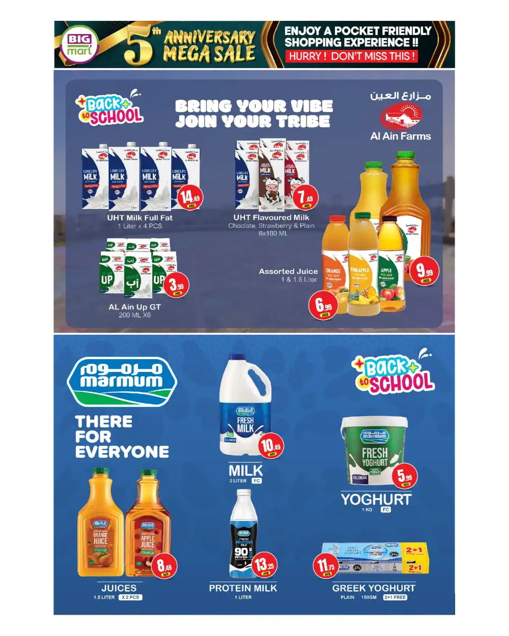 Big Mart Najda Street Offers | 5th Anniversary Mega Sale page 11