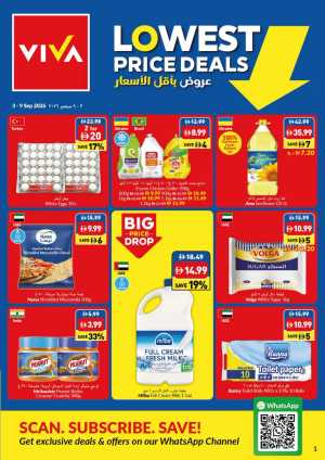 VIVA Lowest Price Deals | Best Offers flyer cover