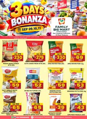 Family Big Mart Grocery Offers flyer cover