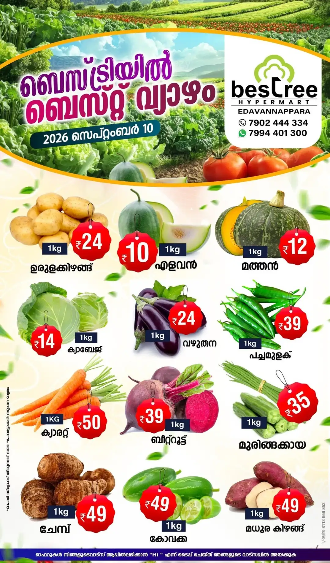 Fresh Vegetable Offers From ₹10 page 1