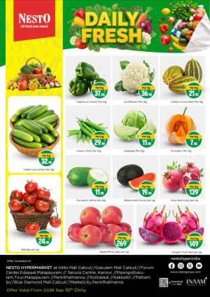 Daily Fresh Vegetable & Fruit Offers flyer cover