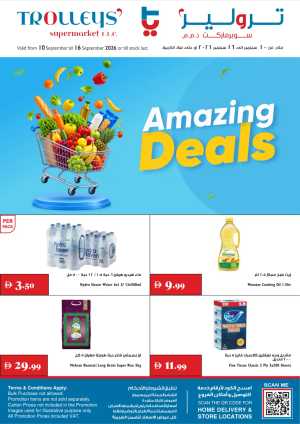 Trolleys Supermarket | Latest Offers & Deals flyer cover
