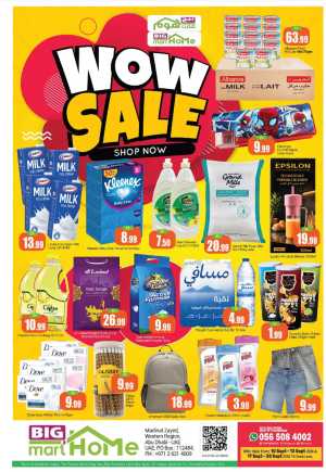 WOW Sale | Great Deals on Everyday Essentials flyer cover