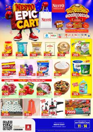 Epic Cart Deals on Groceries & Home Essentials flyer cover