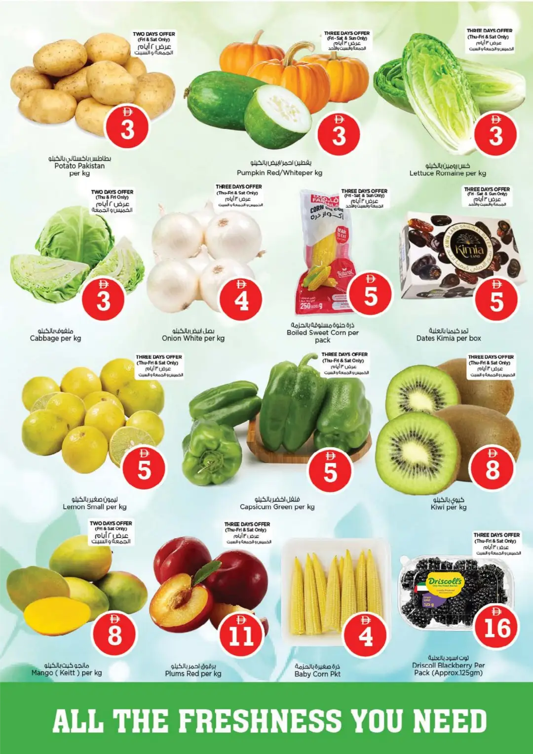 Nesto Fujairah Mall | Crazy Figures Offers page 2