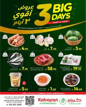 3 Big Days Offers & Deals flyer cover
