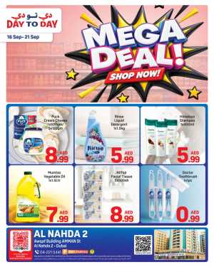 Day To Day Mega Deal Offers flyer cover