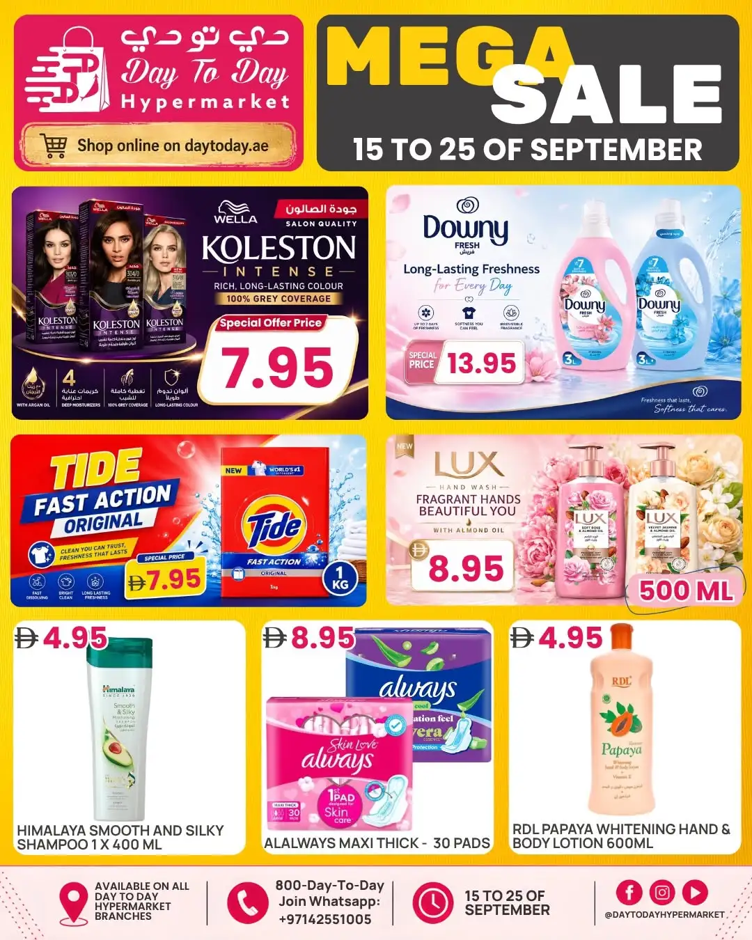 Day To Day Hypermarket Mega Sale page 5