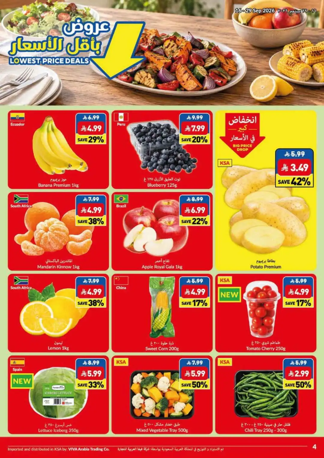 VIVA Big Price Drop & Lowest Price Deals page 10