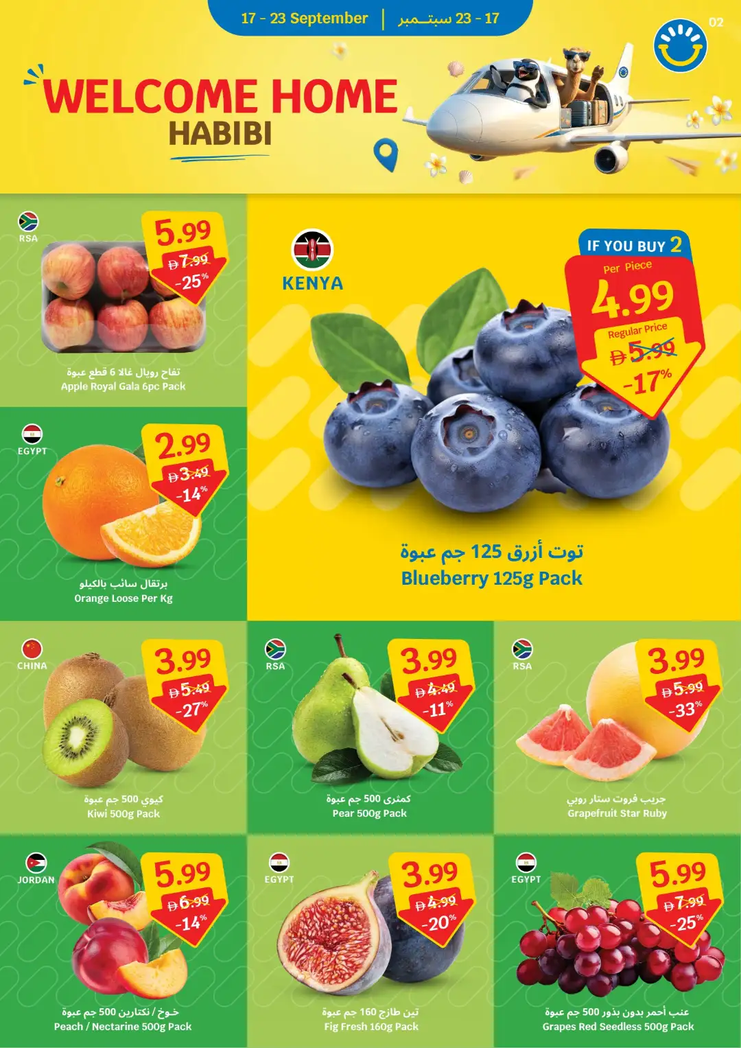 SAVA Price Freeze Offers page 2