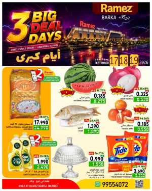 Ramez Barka Big Deal Days | Offers & Promotions flyer cover