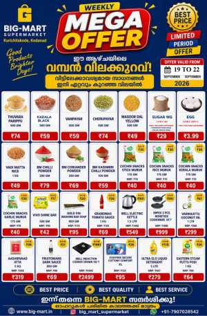 Mega offer flyer cover