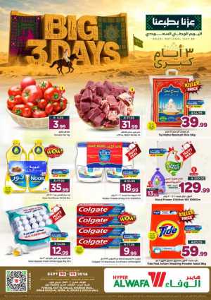 Al Wafa Big 3 Days | Offers & Promotions flyer cover