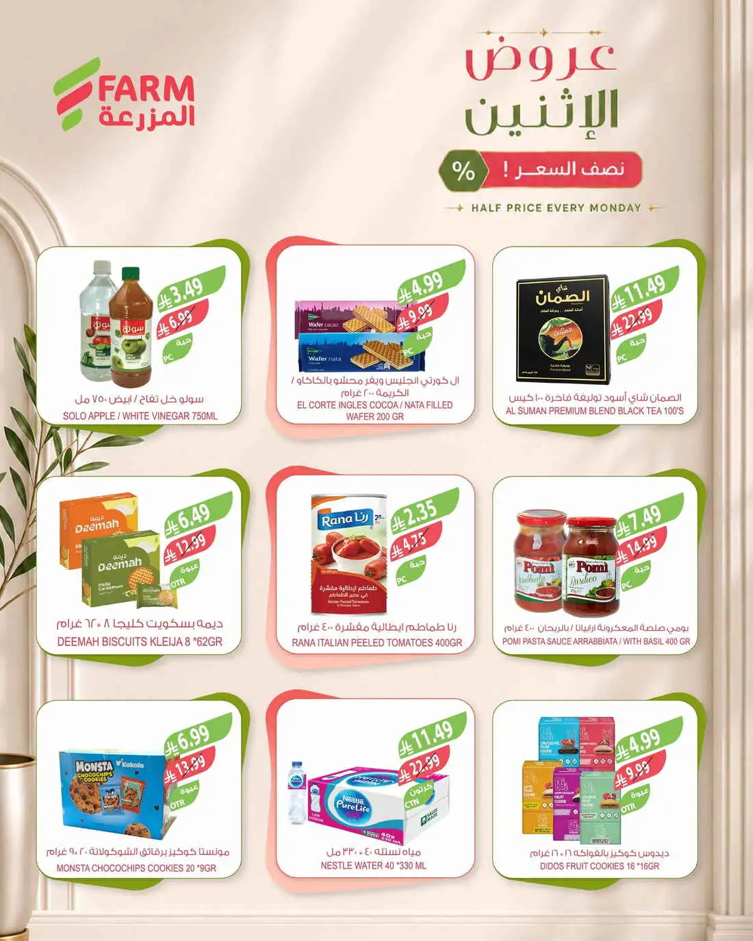 Monday offer page 8